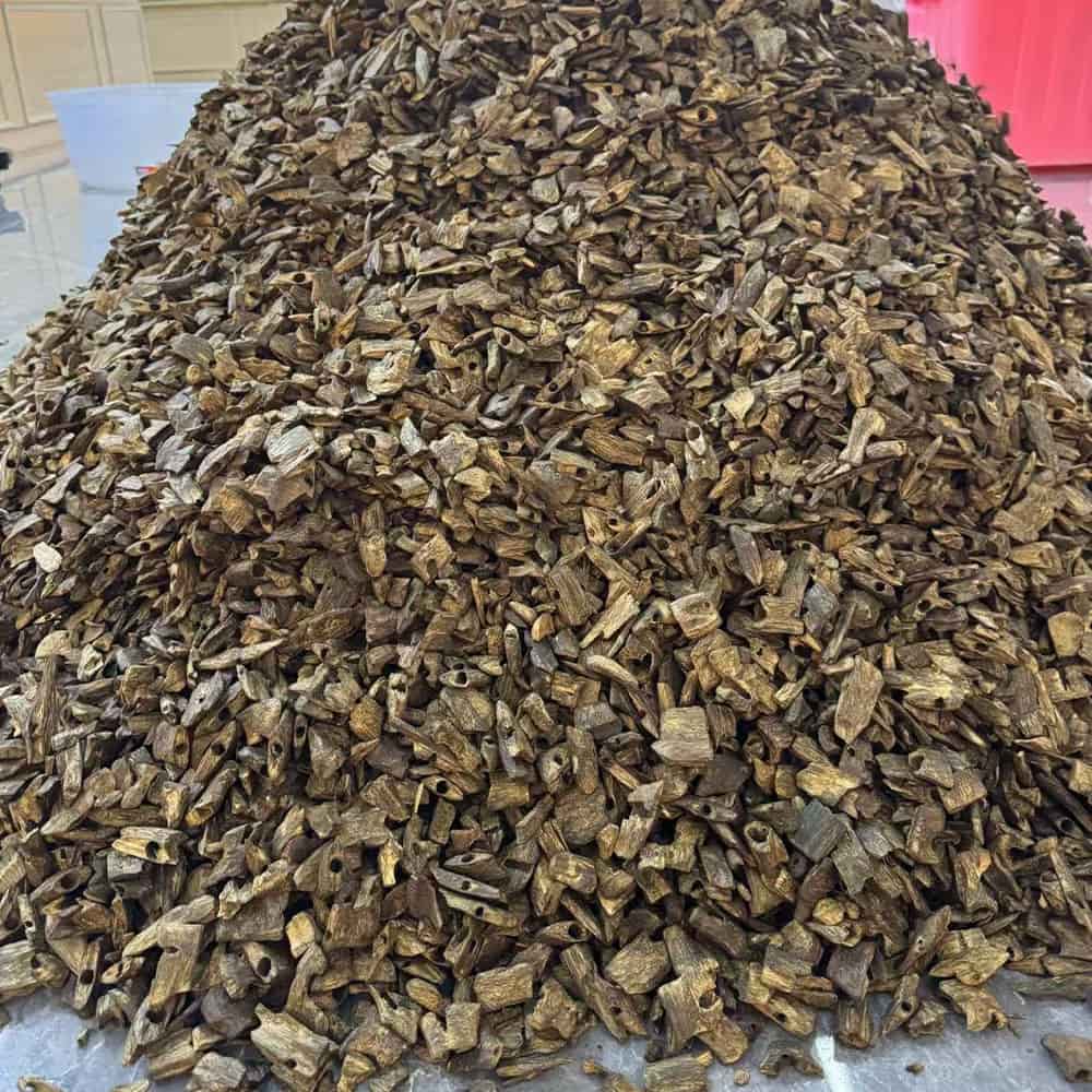 New Tree Chips